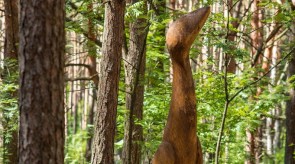 36. Curious Bird. Oak. h 250.