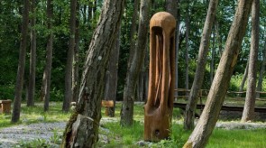 8. Laikas. Ąžuolas. h 250.
